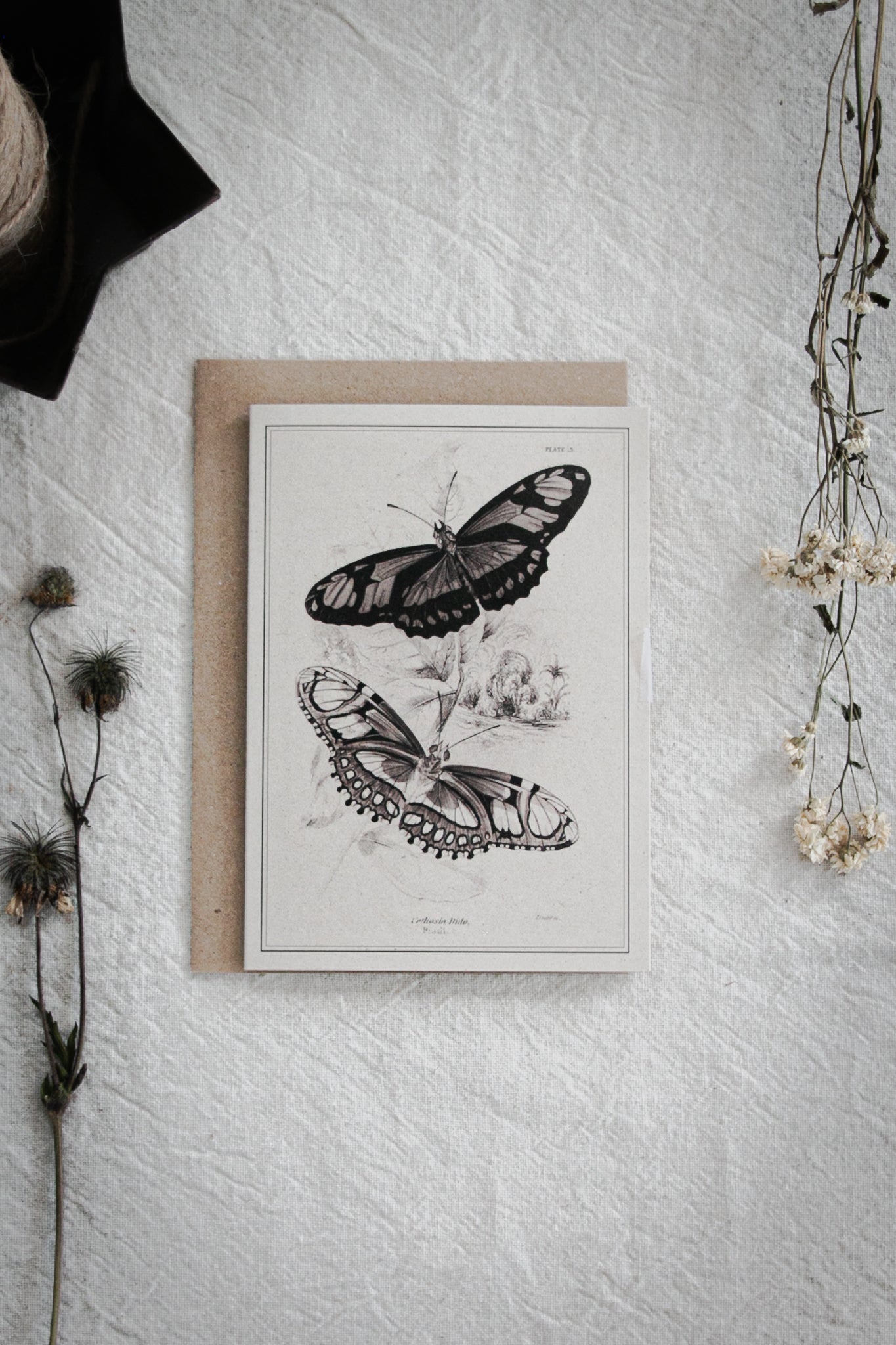 Vintage Butterfly Art Greeting Card – A6 Blank Card with Kraft Envelope 05