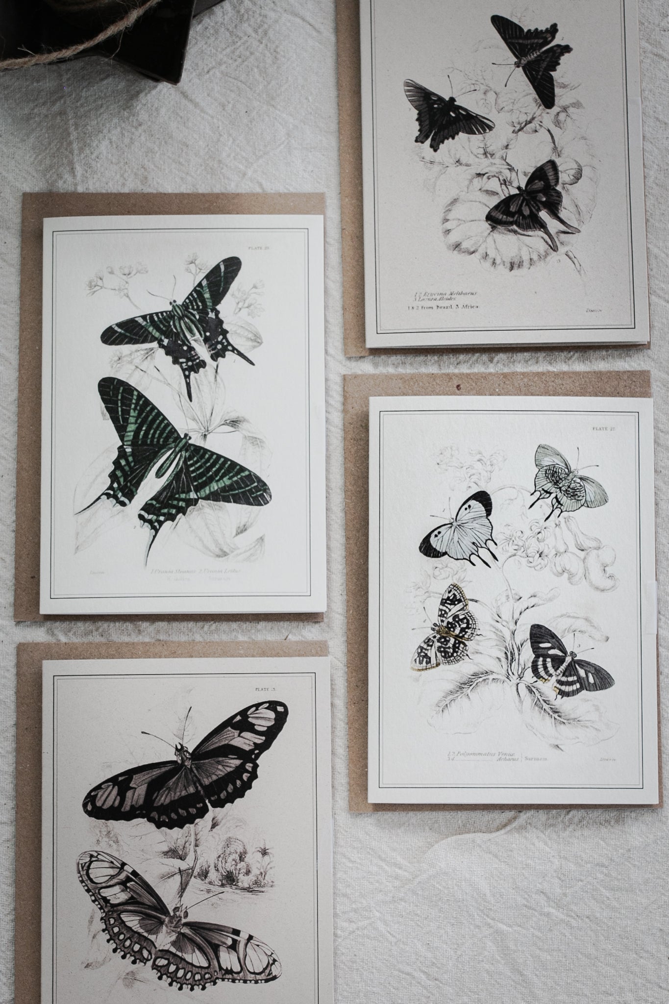 Vintage Butterfly Art Greeting Card – A6 Blank Card with Kraft Envelope 03