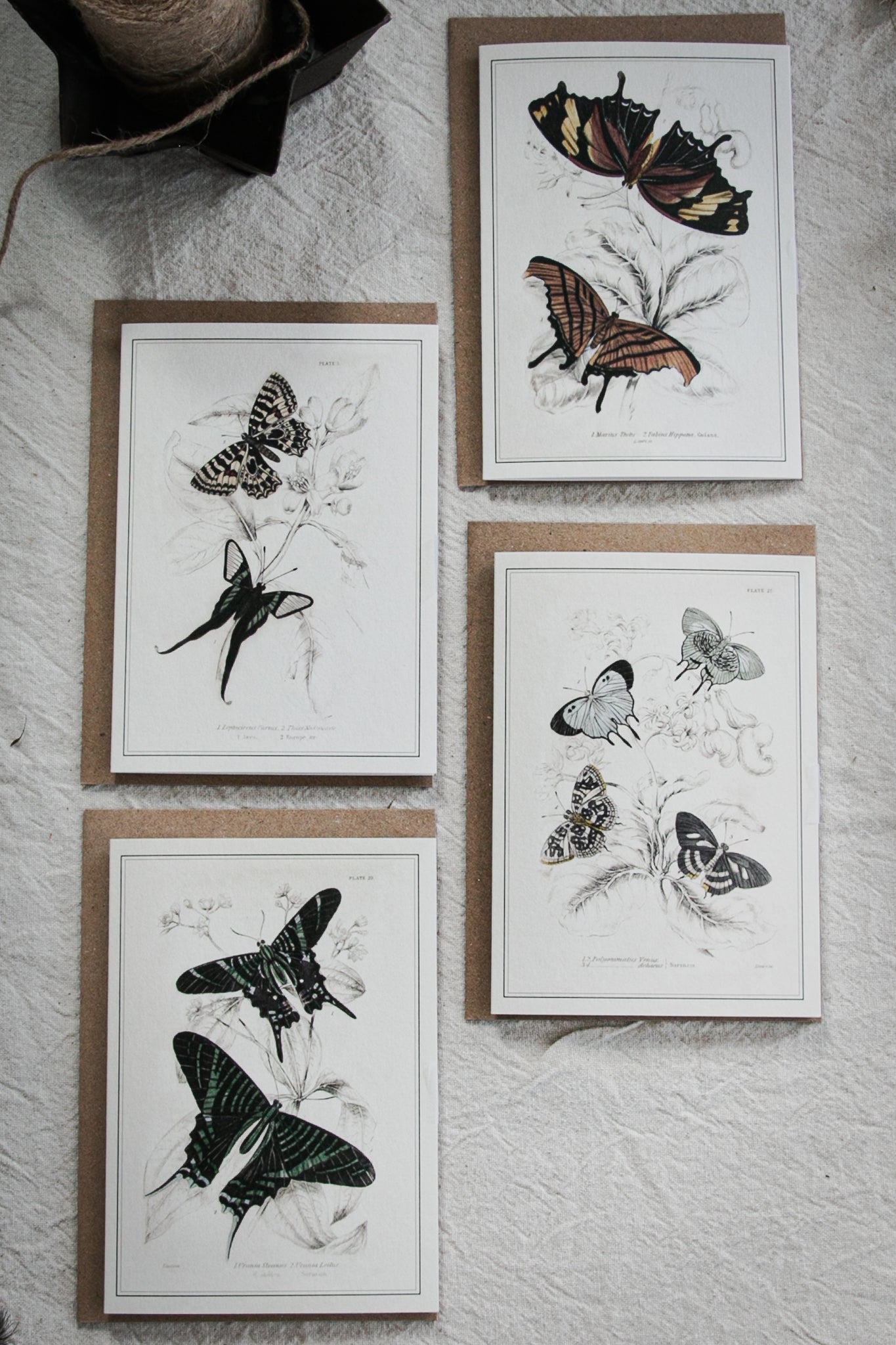 Set of 4 Vintage Butterfly Colour Greeting Cards – A6 Blank Cards with Kraft Envelopes