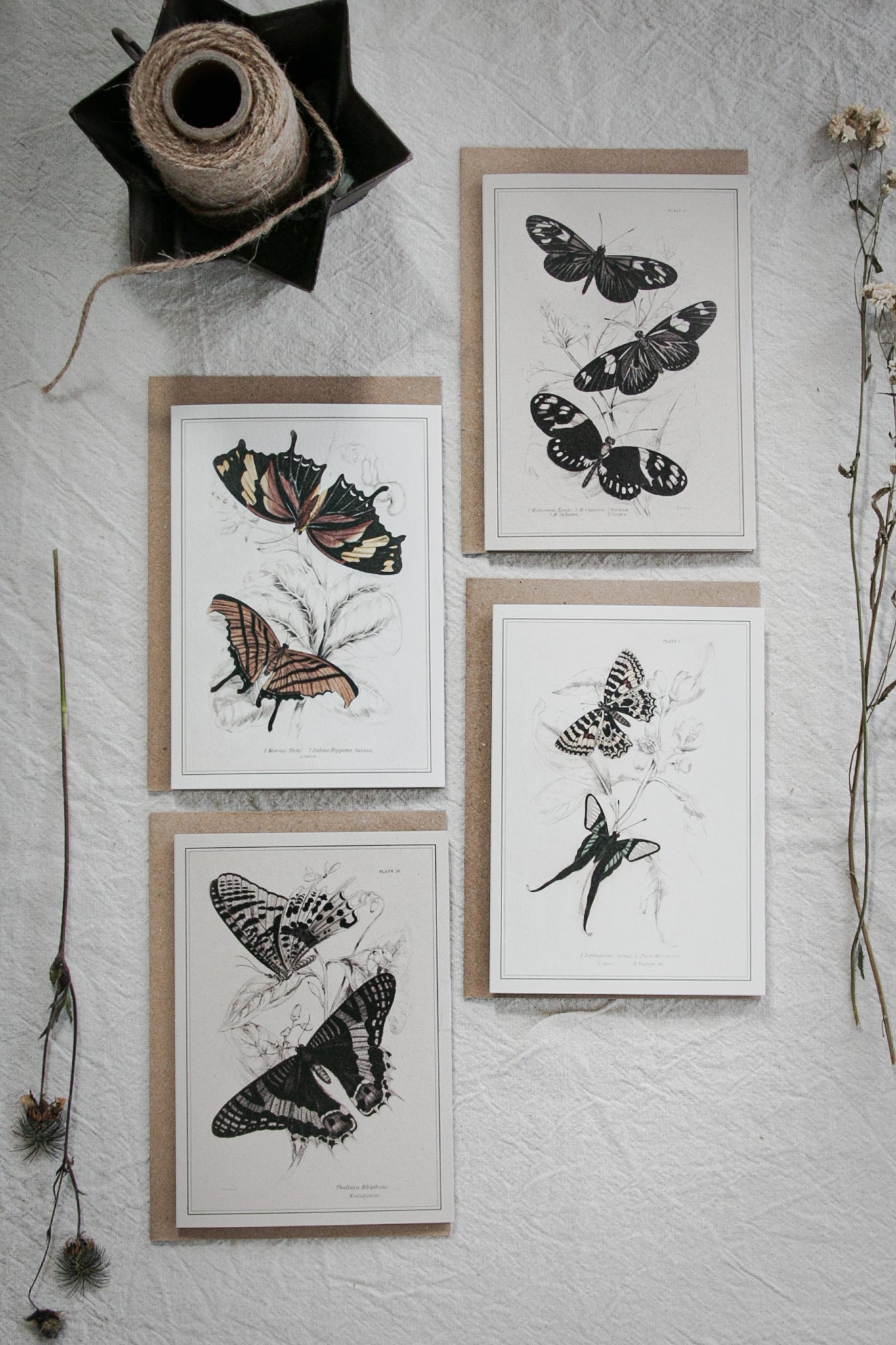 Mixed Set of 4 Vintage Butterfly Greeting Cards – A6 Blank Cards with Kraft Envelopes 01