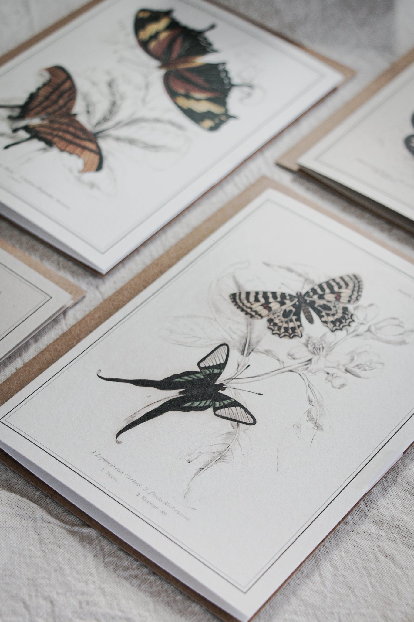 Set of 4 Vintage Butterfly Colour Greeting Cards – A6 Blank Cards with Kraft Envelopes