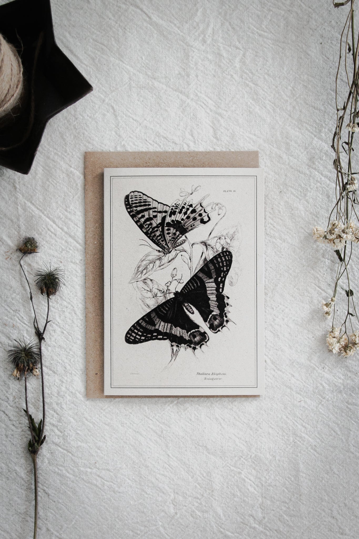 Vintage Butterfly Art Greeting Card – A6 Blank Card with Kraft Envelope 07