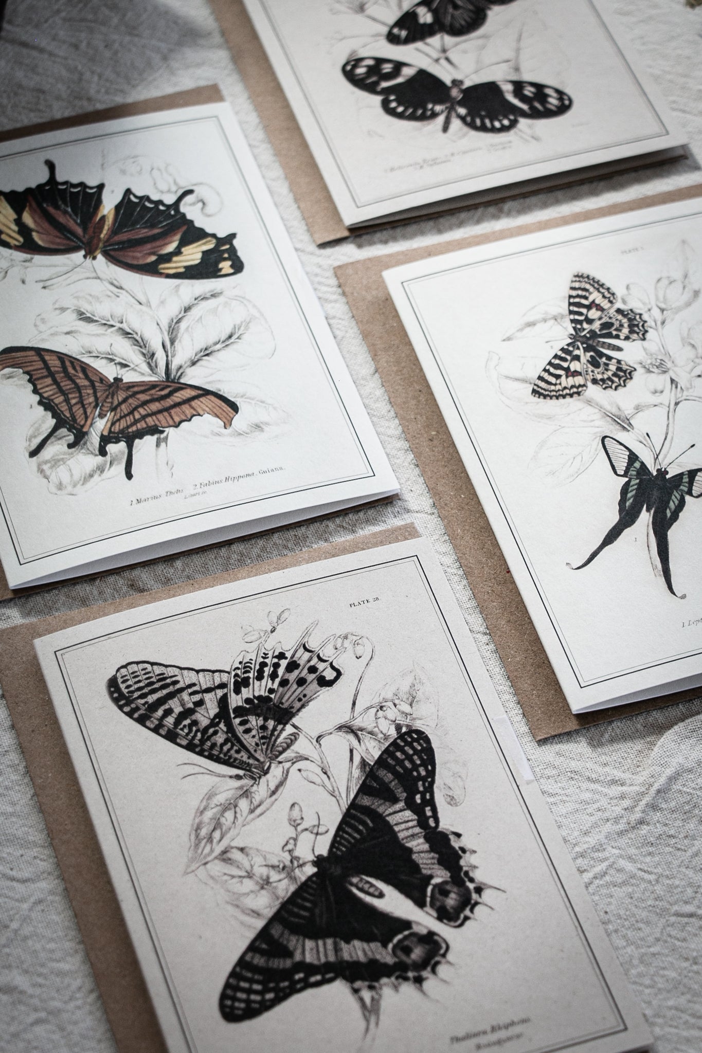 Mixed Set of 4 Vintage Butterfly Greeting Cards – A6 Blank Cards with Kraft Envelopes 01