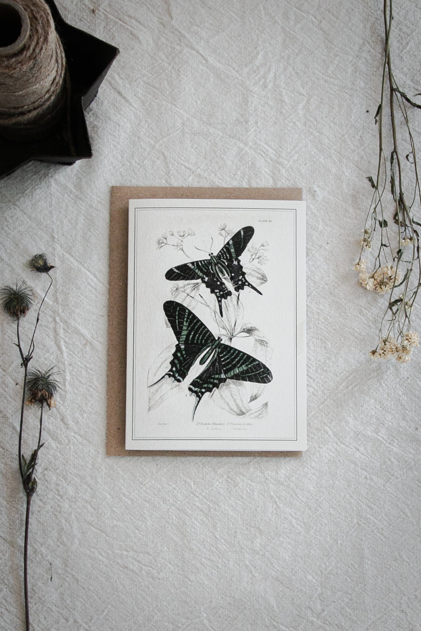 Vintage Butterfly Art Greeting Card – A6 Blank Card with Kraft Envelope 03