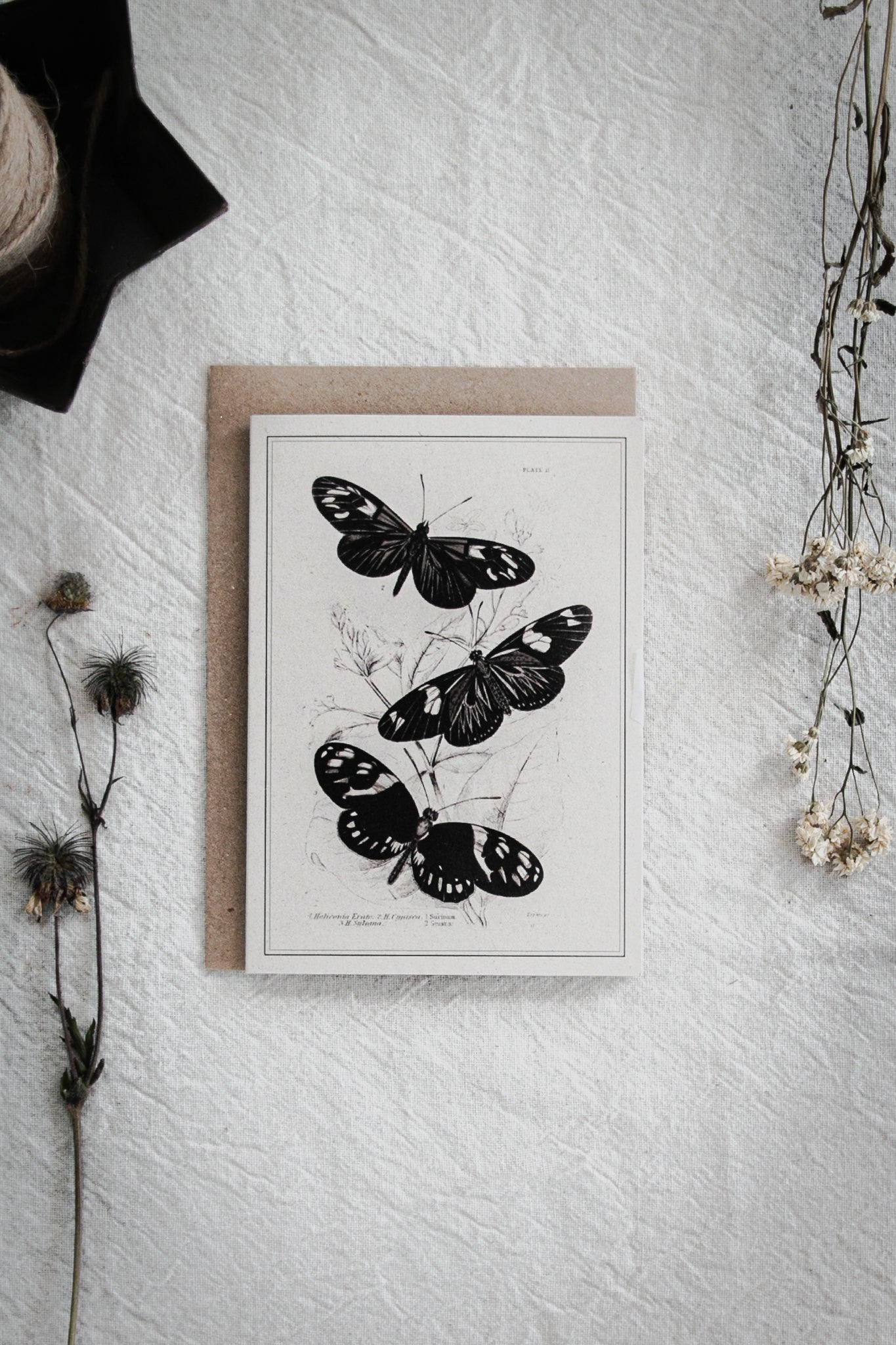 Vintage Butterfly Art Greeting Card – A6 Blank Card with Kraft Envelope 08