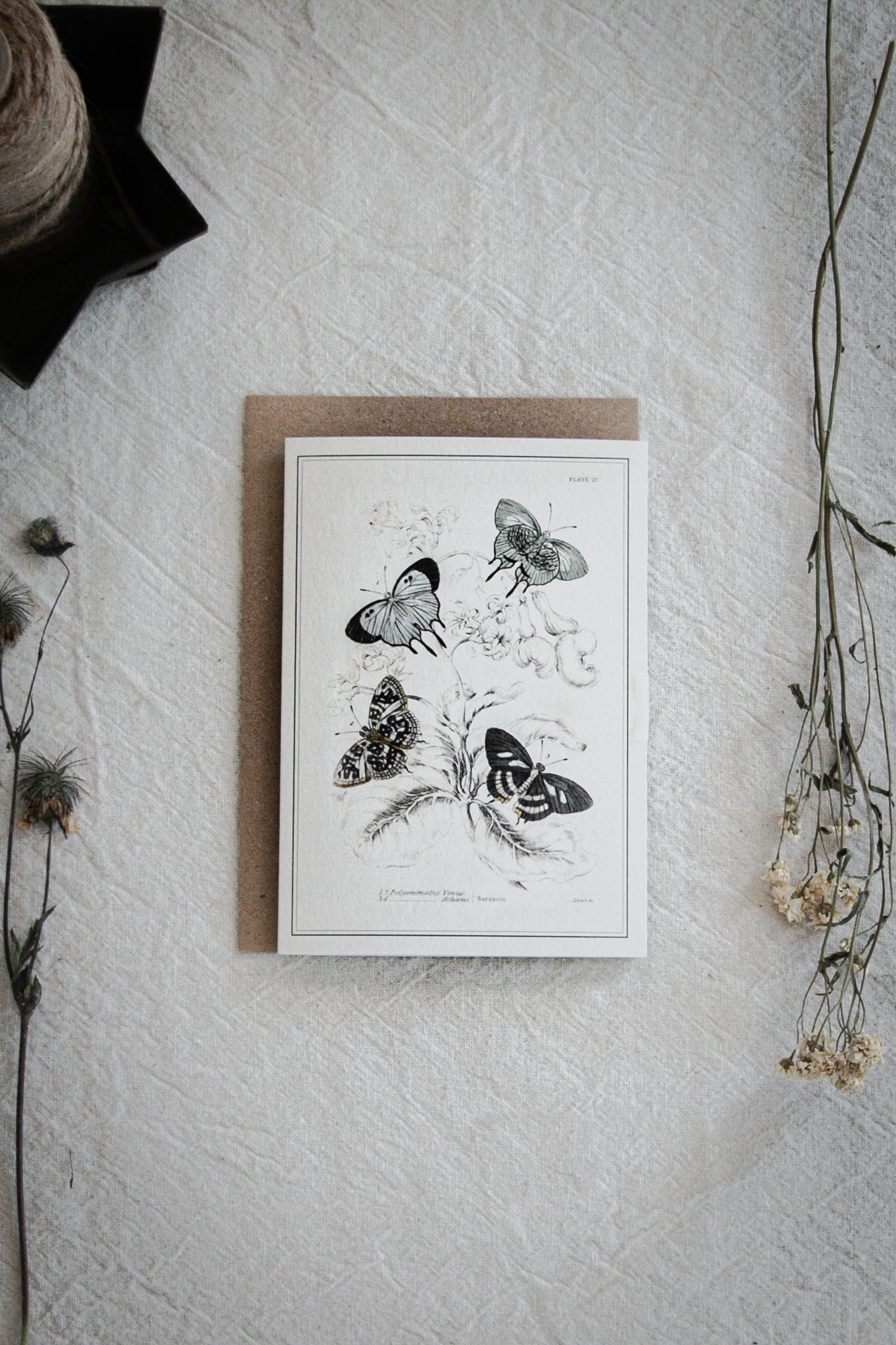 Vintage Butterfly Art Greeting Card – A6 Blank Card with Kraft Envelope 04