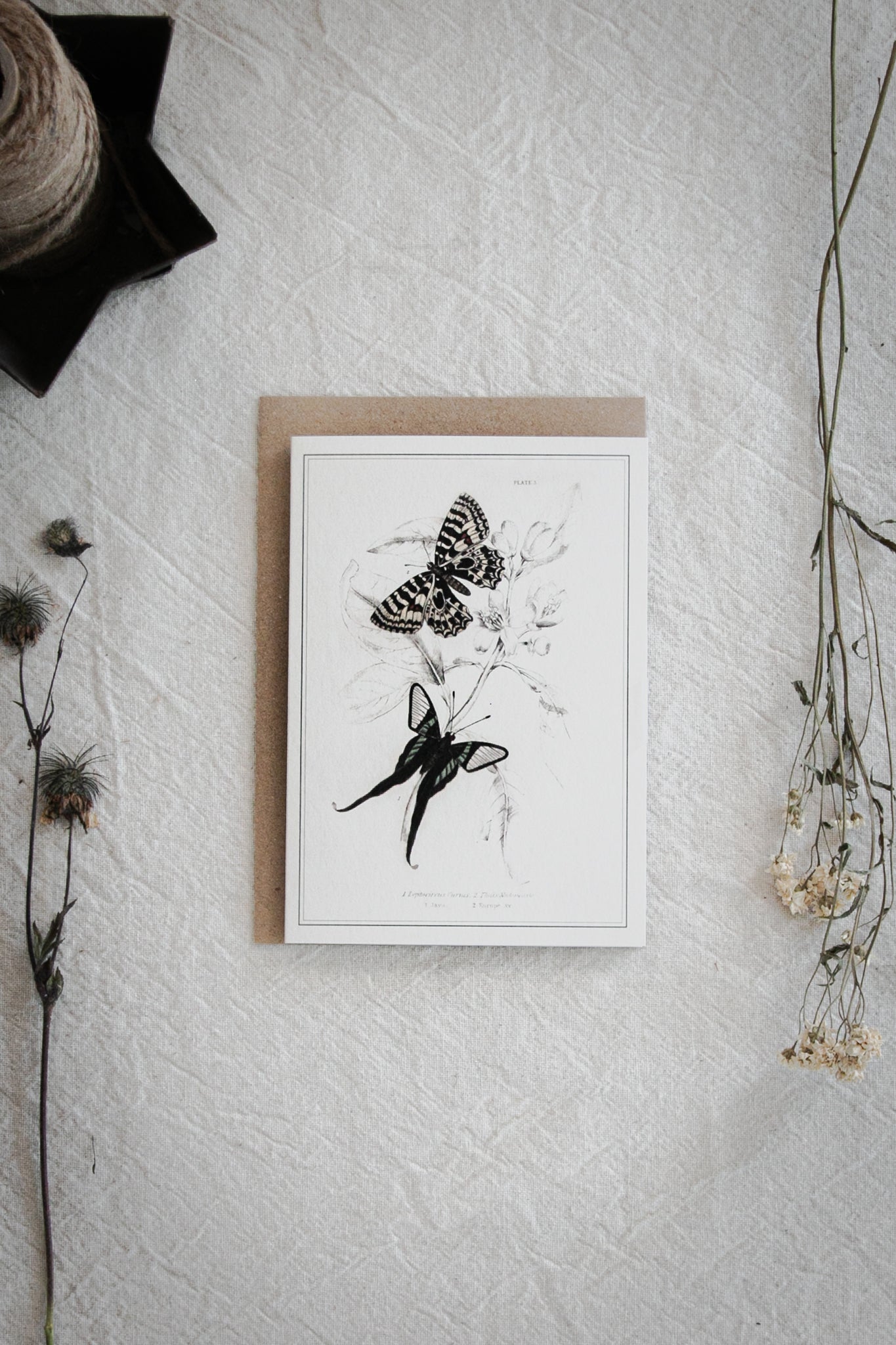 Vintage Butterfly Art Greeting Card – A6 Blank Card with Kraft Envelope 02