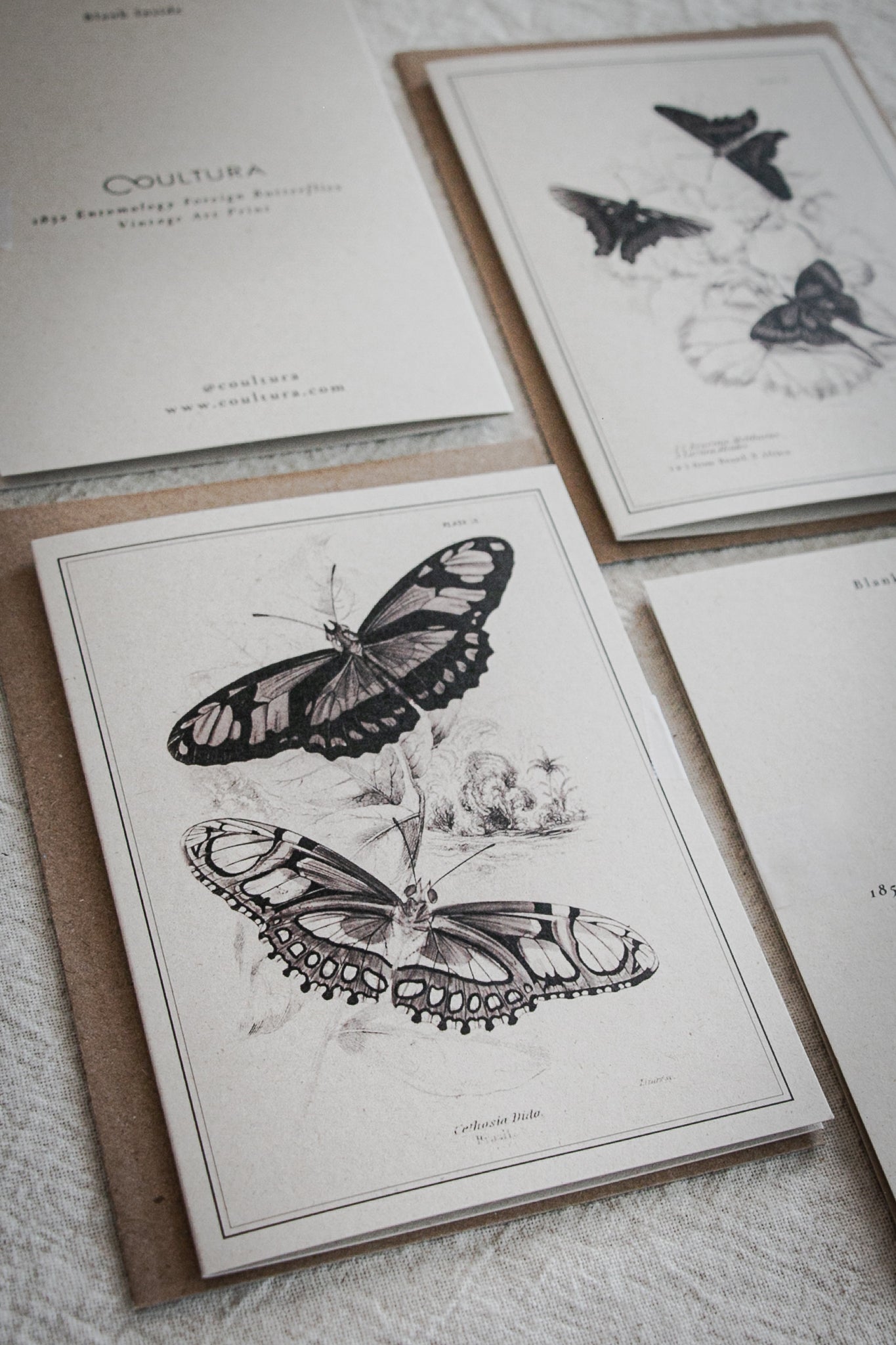 Mixed Set of 4 Vintage Butterfly Greeting Cards – A6 Blank Cards with Kraft Envelopes 02