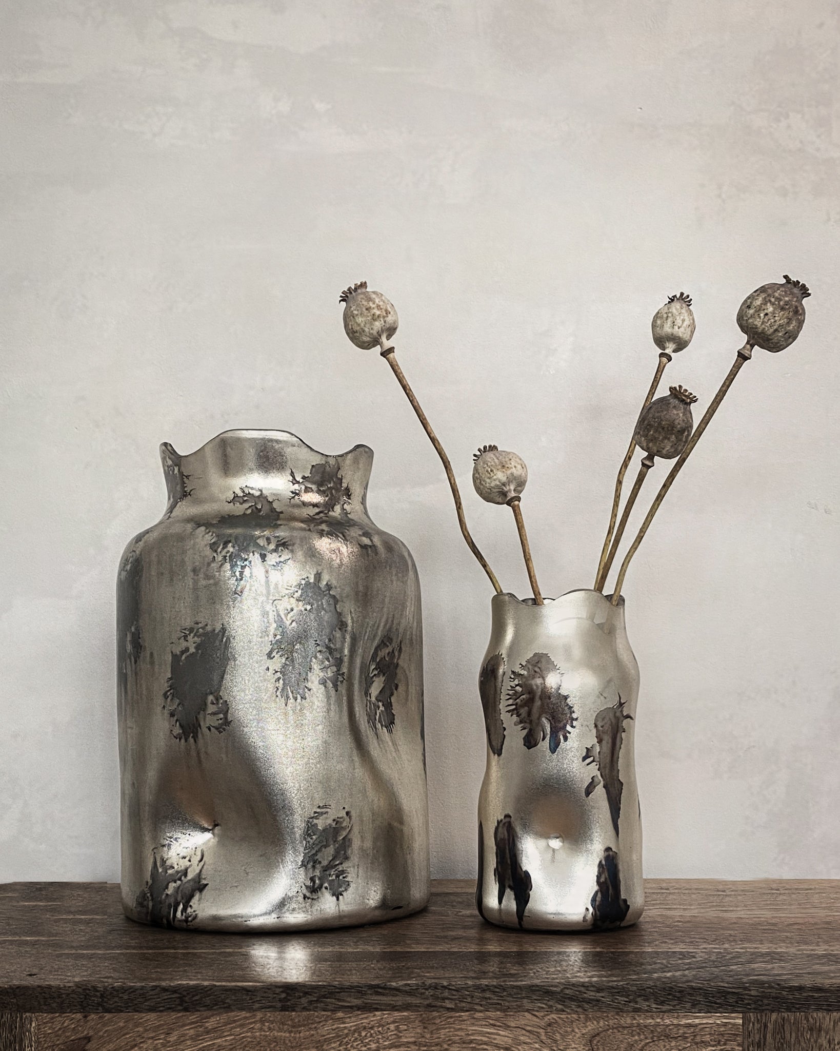 Dried Poppy Heads