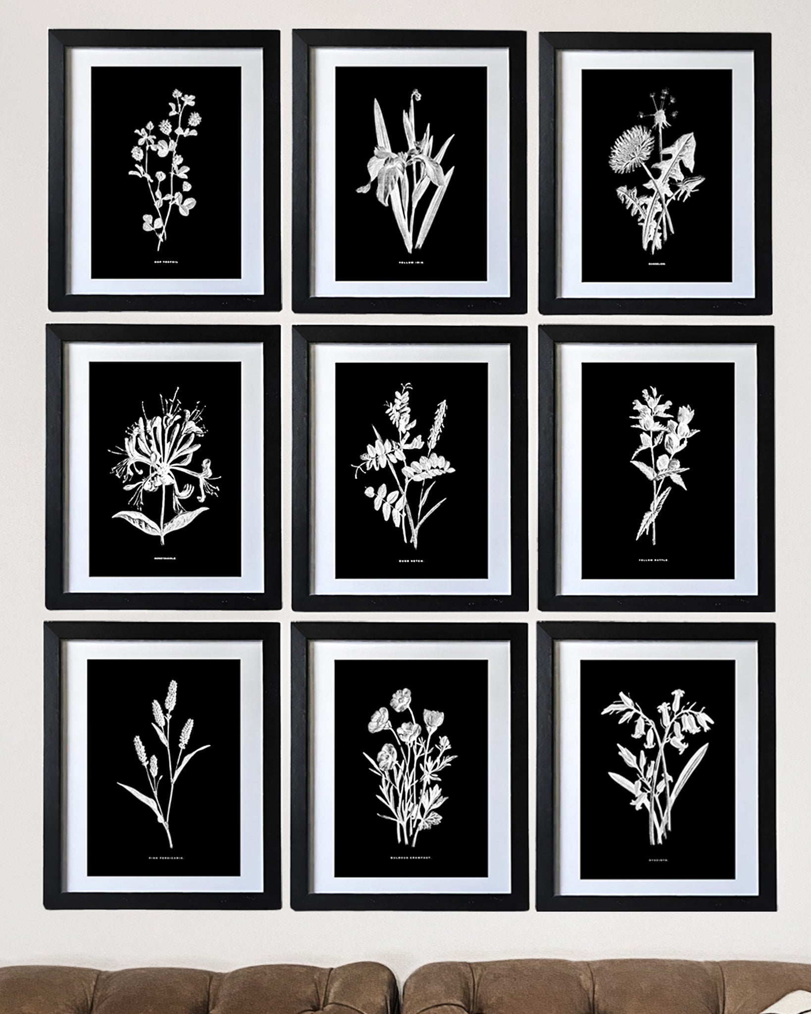 Black & White Framed Vintage Botanical Floral Art Prints: Set Of Nine