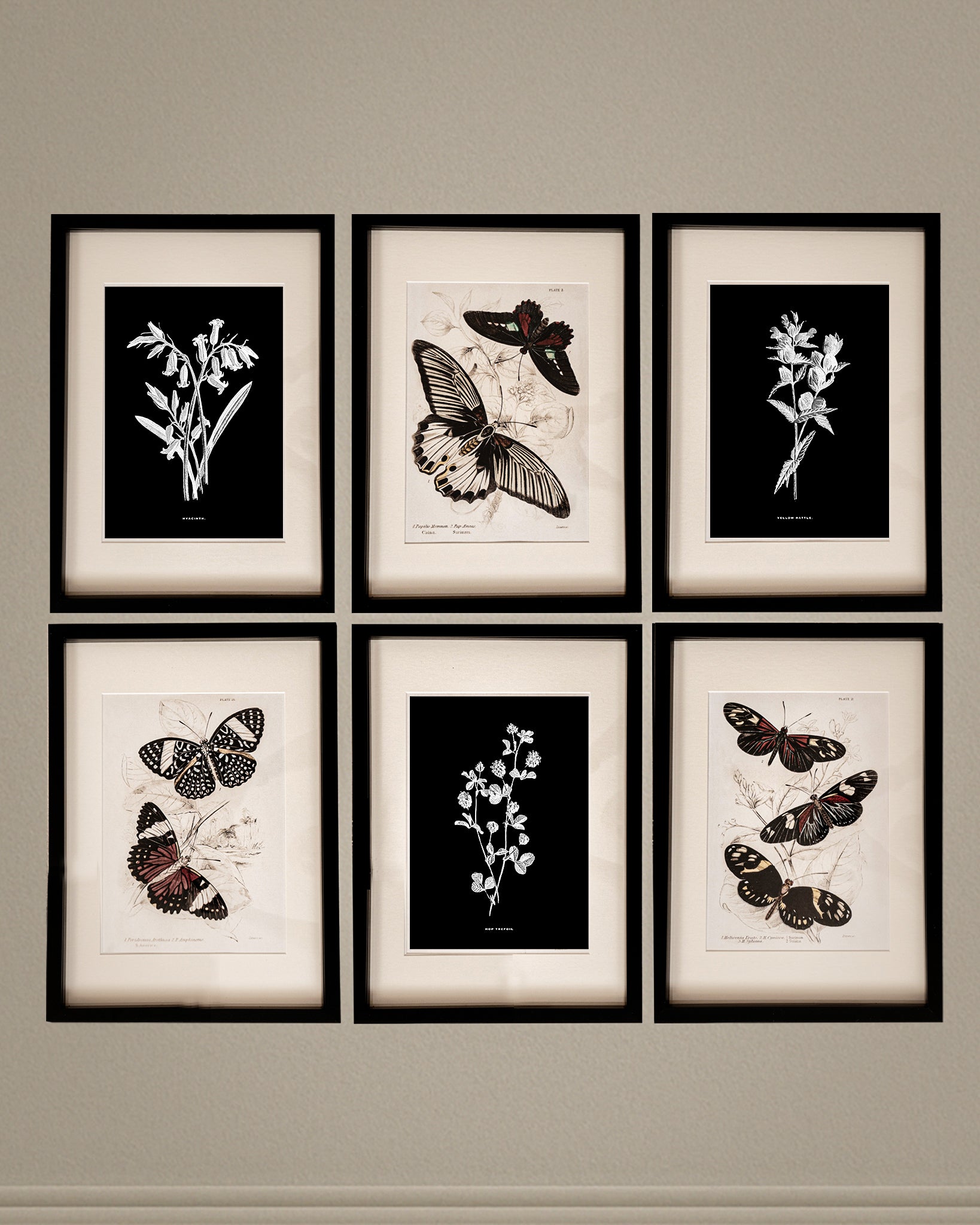 Framed Gallery Wall Set – Vintage Butterfly Botanical Art Prints (Set of 6, Black Noir Frame)