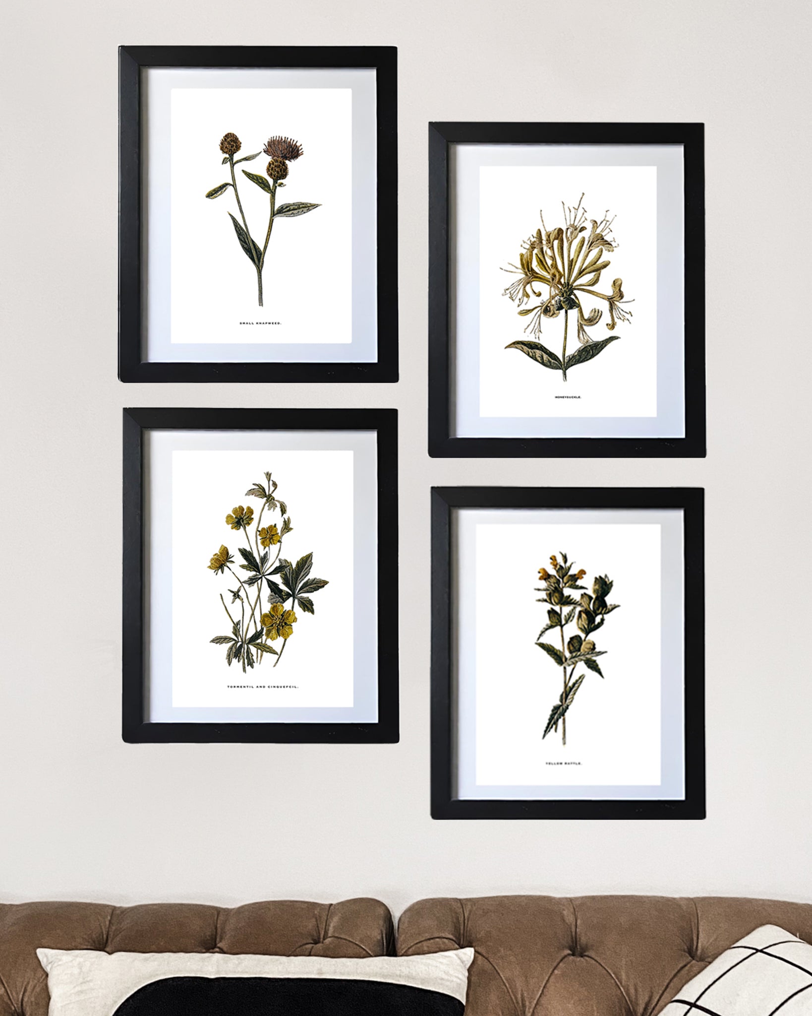 Framed Vintage Botanical Floral Wall Art Prints: Set Of Four