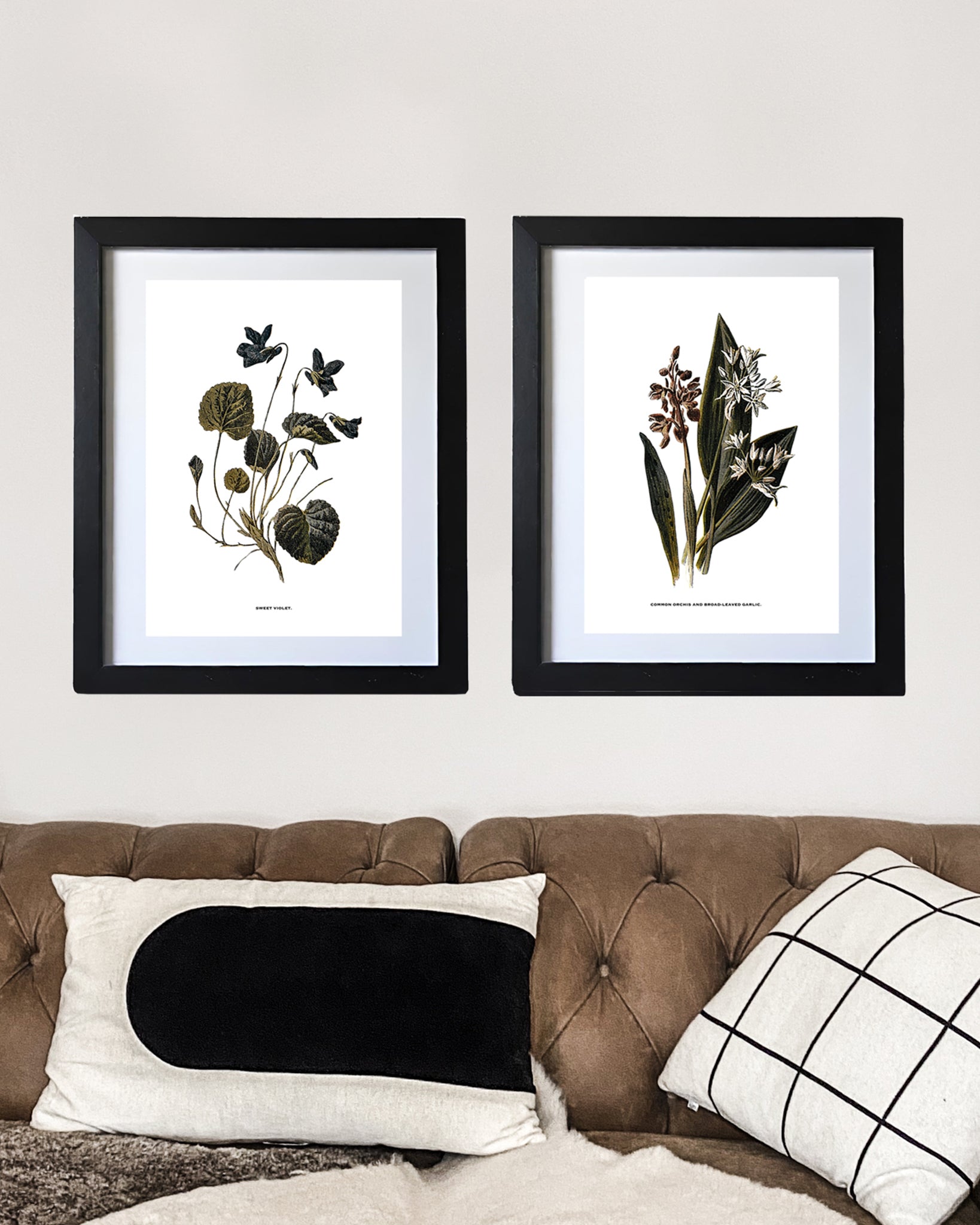Framed Vintage Botanical Floral Art Prints: Set Of Two