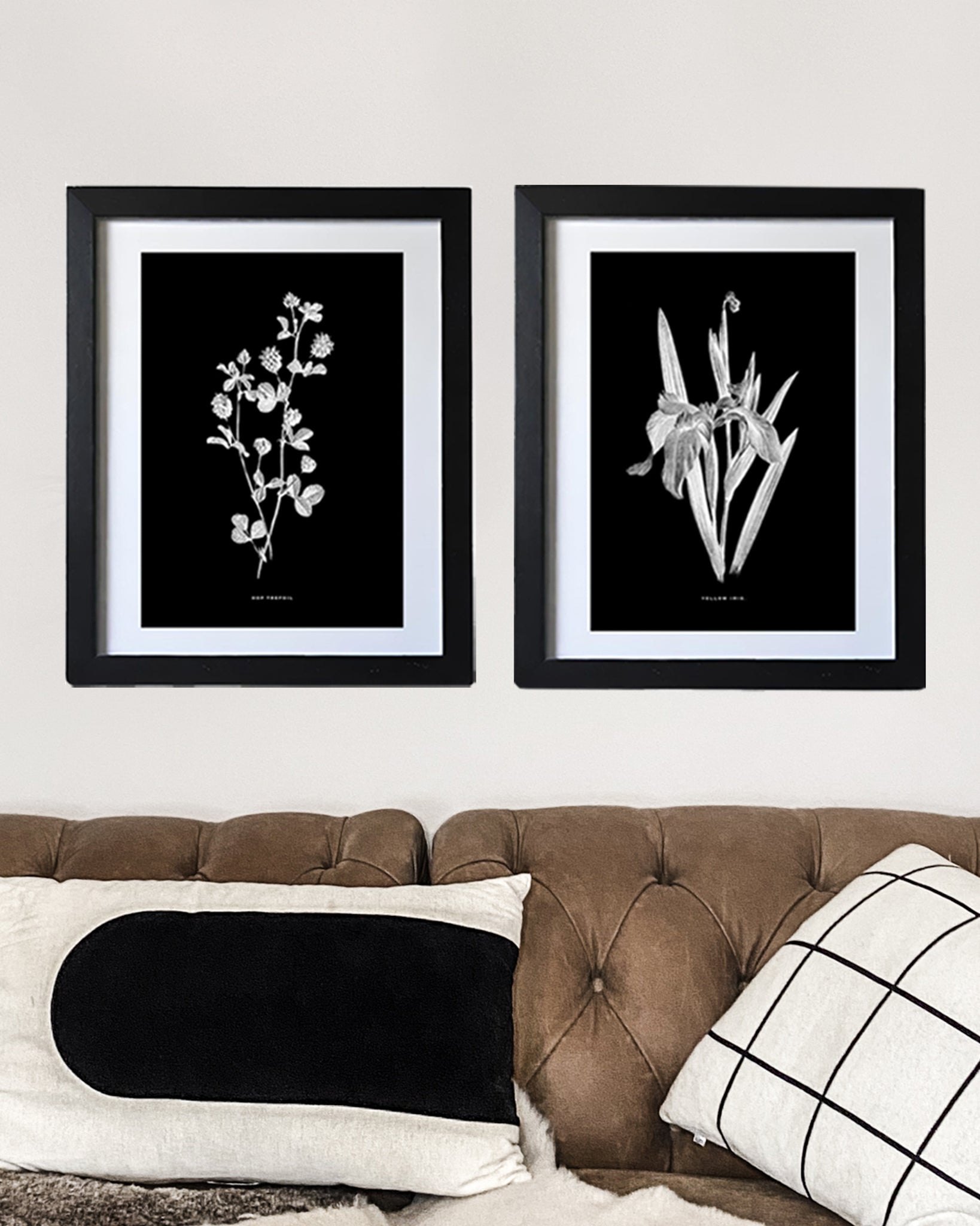 Black & White Framed Vintage Botanical Floral Art Prints: Set Of Two