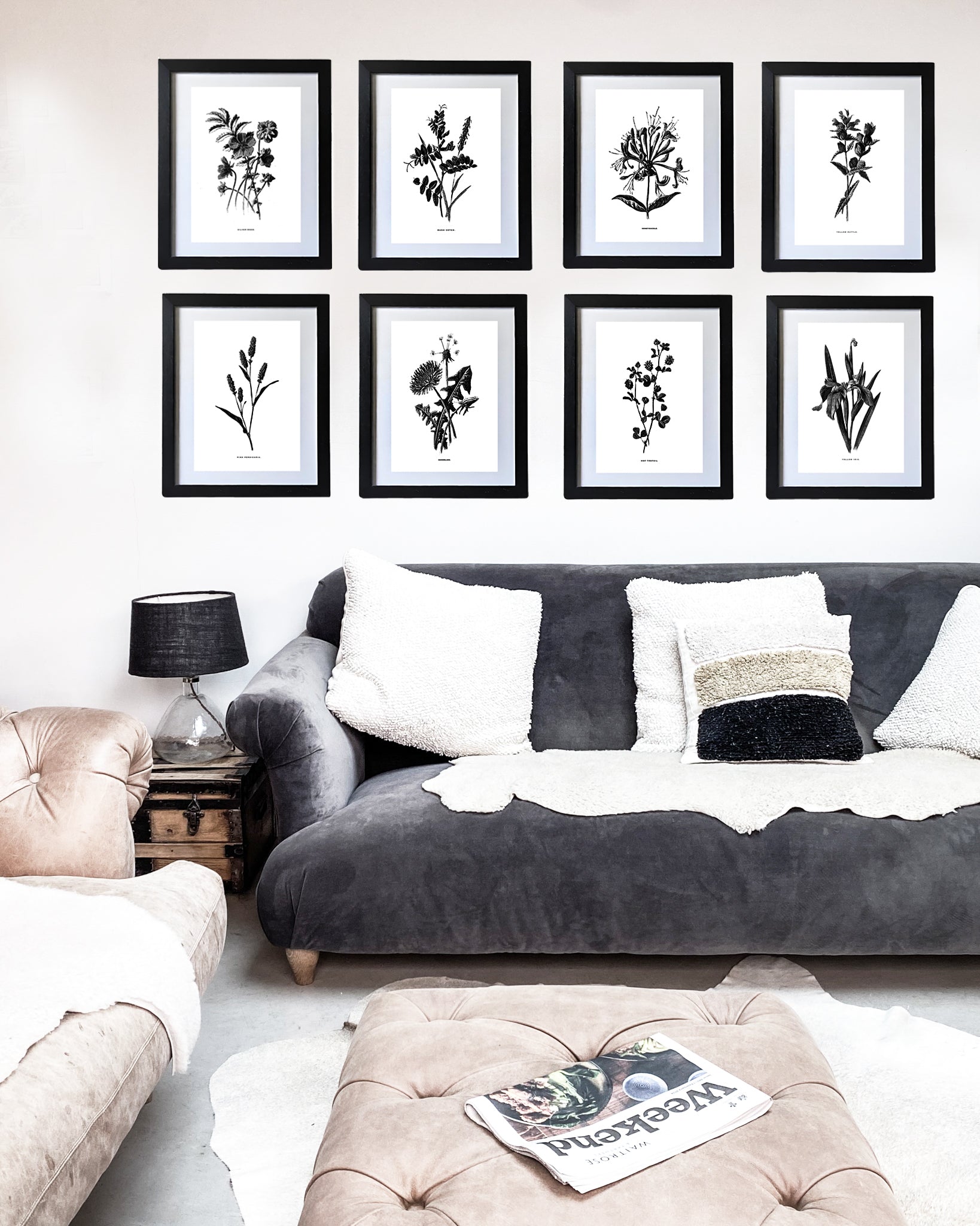 Restored Monochrome Botanical Art Print – 19th Century Floral Illustration (Pink Persicaria 01)