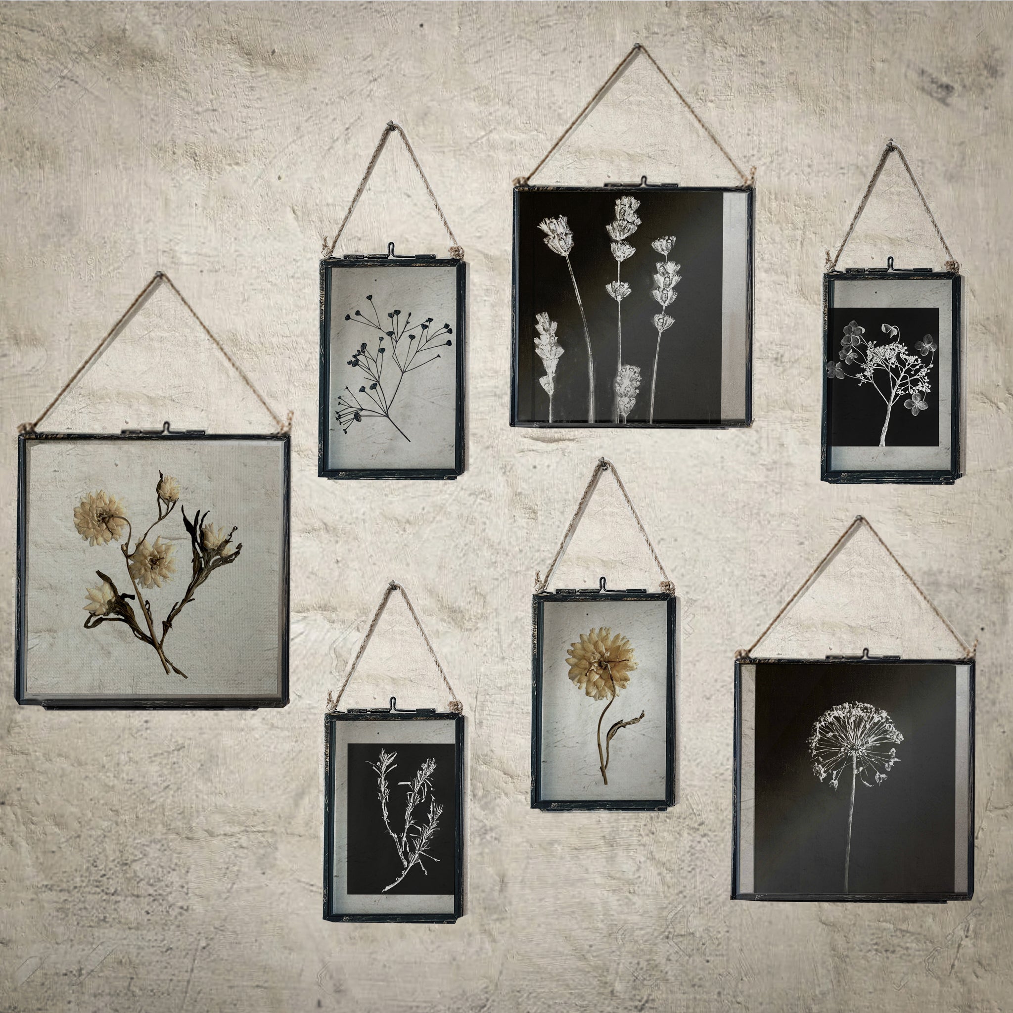 Set Of Three Pressed Flower Frames - Neutral