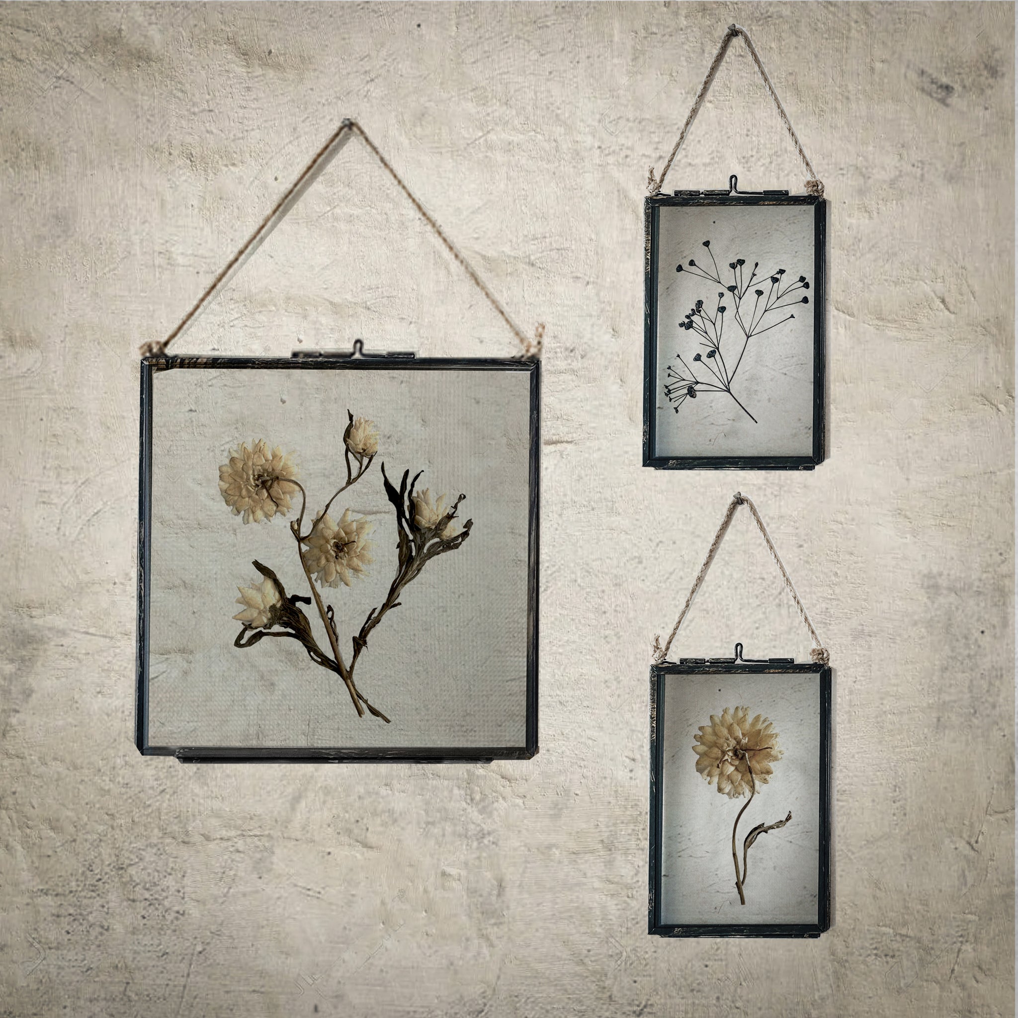 Set Of Three Pressed Flower Frames - Neutral