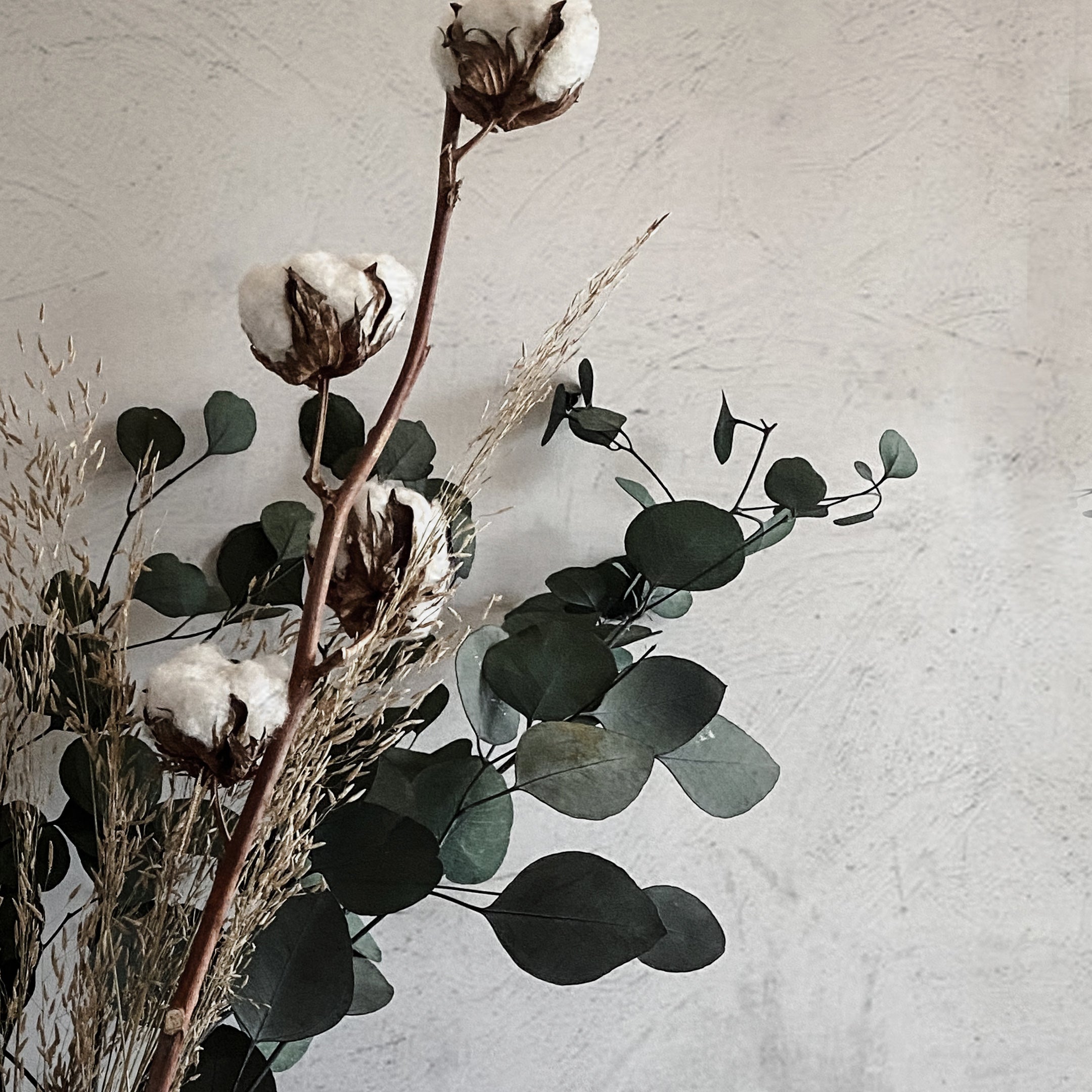 Dried Silver Dollar Eucalyptus, Dried Flowers, Dried Greenery, Dried Leaves  – Art Painting Canvas