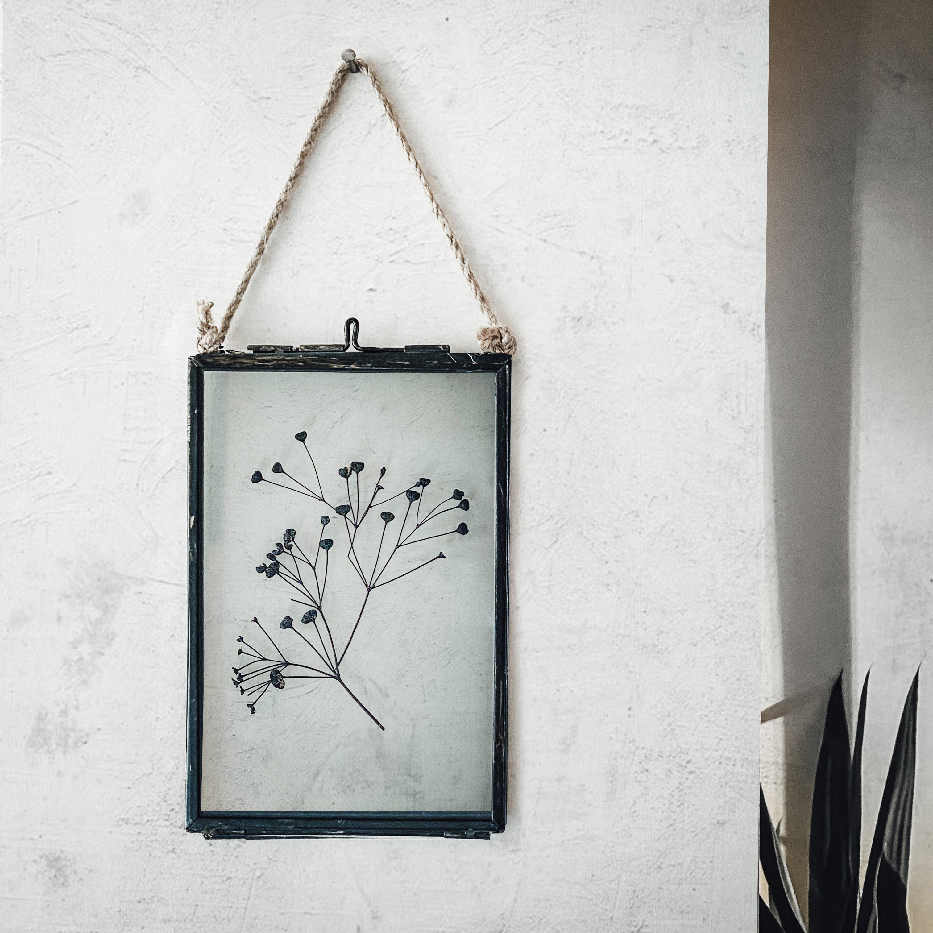 Black Antique Pressed Flower Frame: Dried Massasa - Small