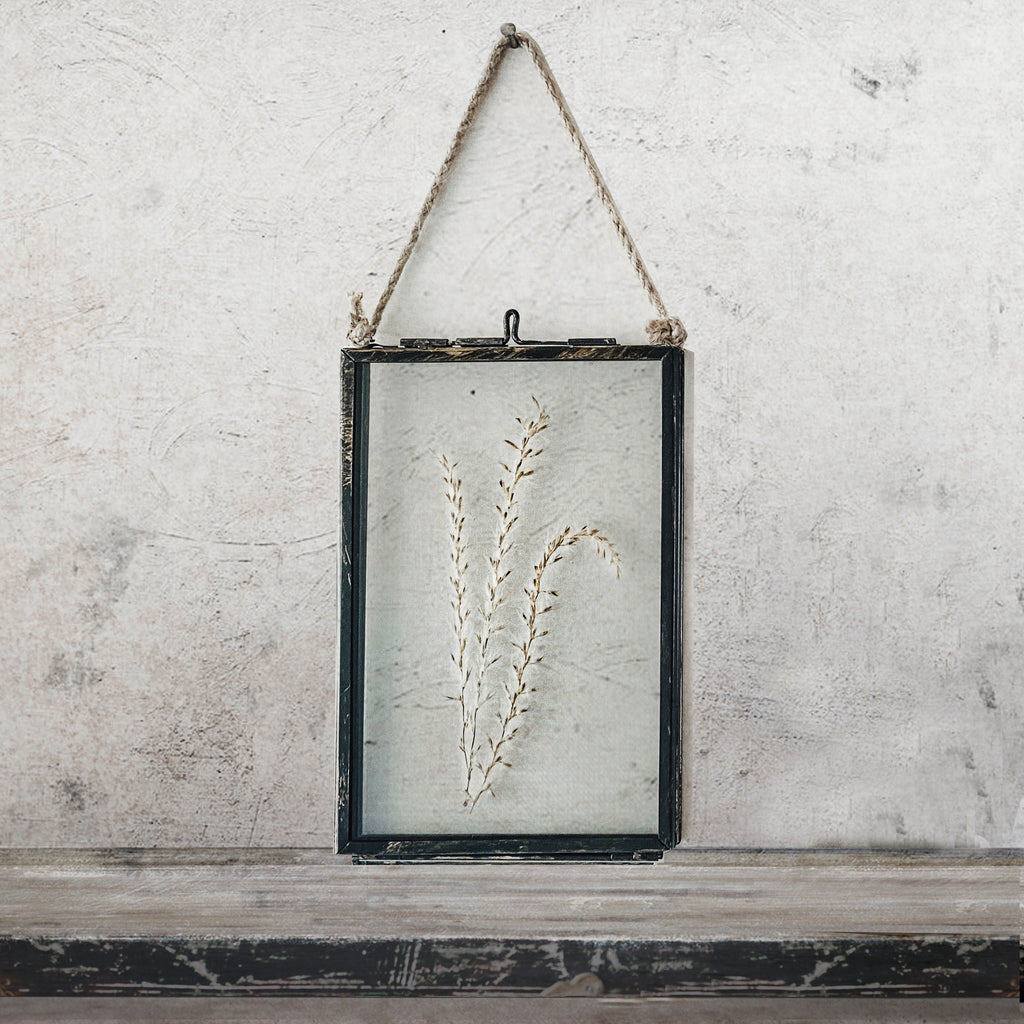 Black Antique Pressed Flower Frame: Dried Pampas Grass - Small
