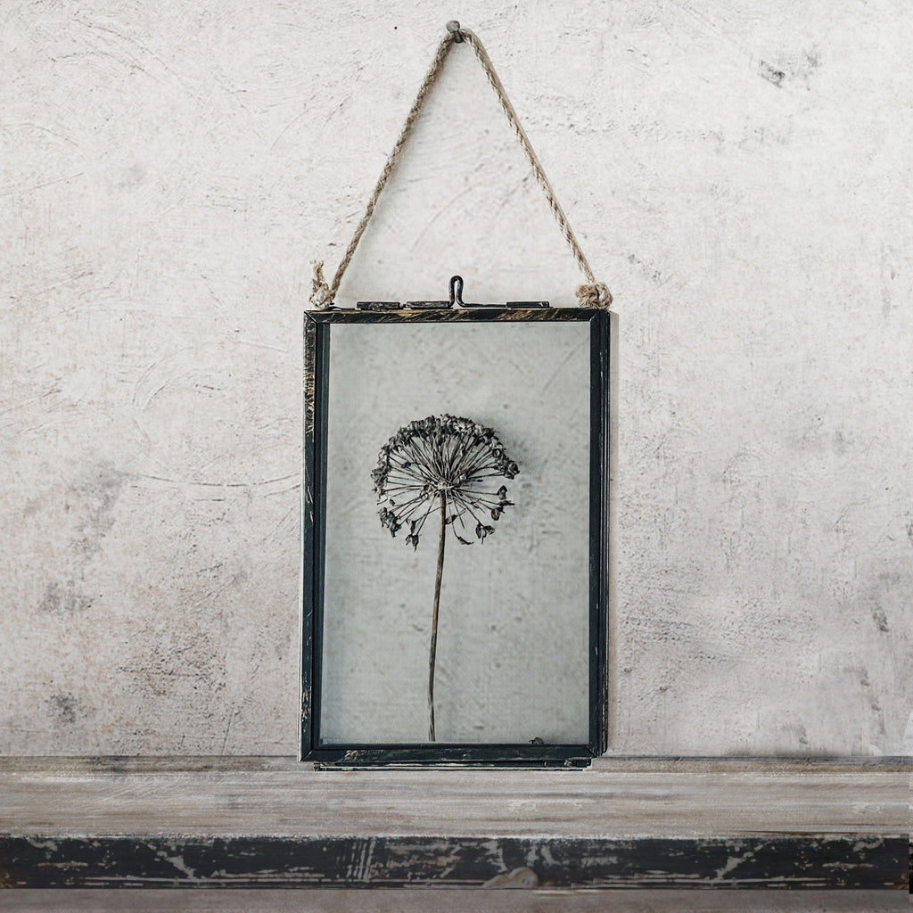 Black Antique Pressed Flower Frame: Dried Allium - Small