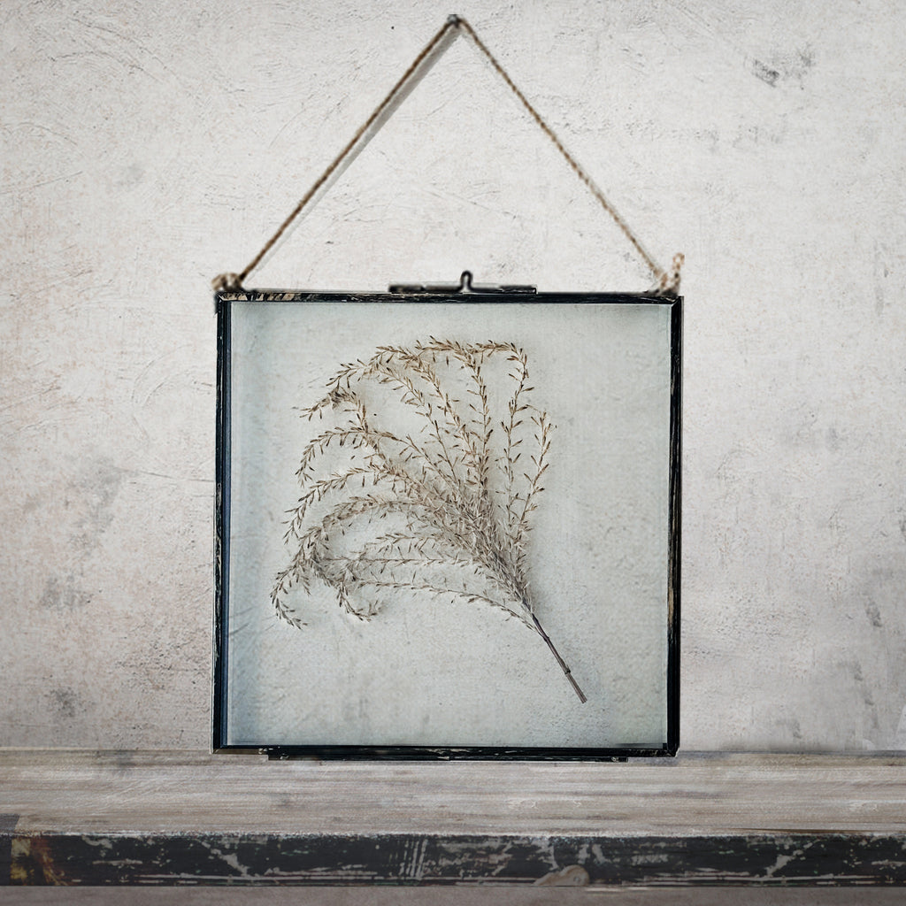 Black Antique Pressed Flower Frame: Dried Pampas - Large