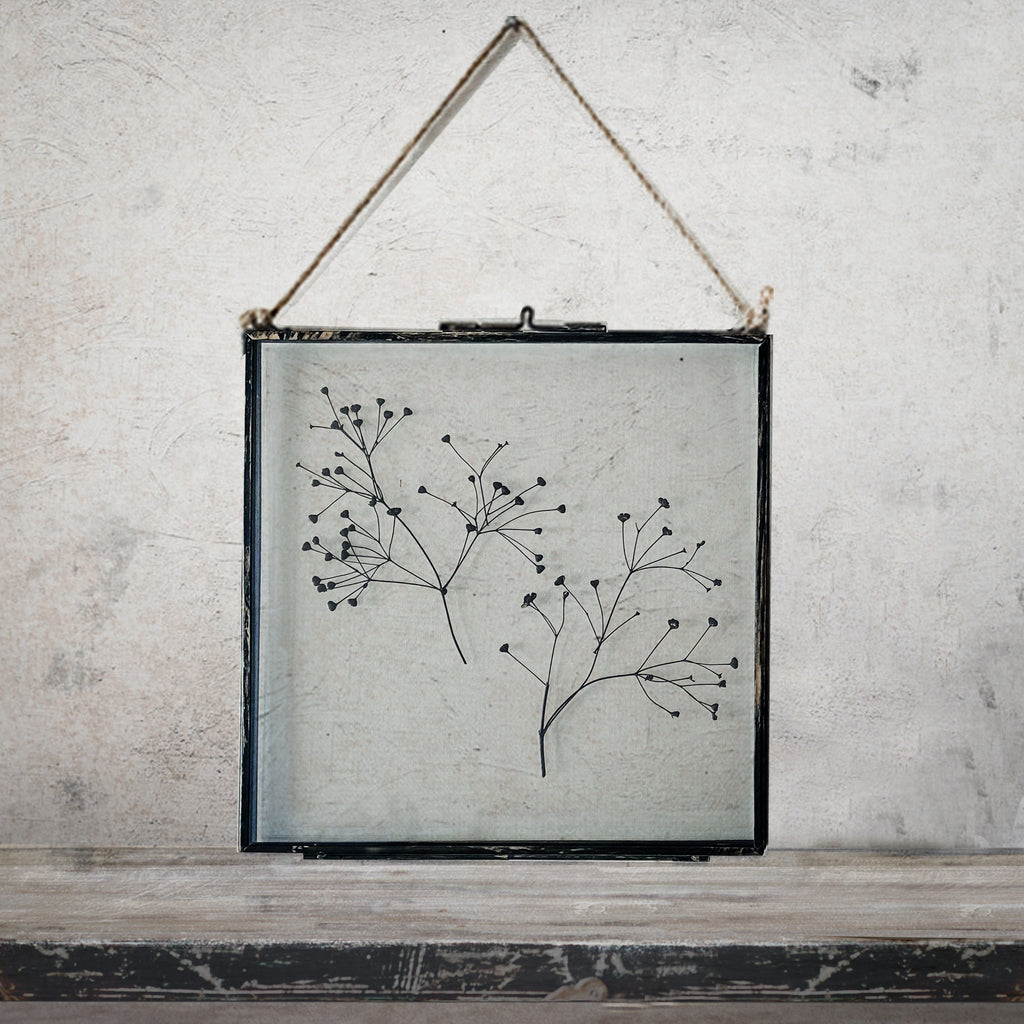 Black Antique Pressed Flower Frame: Dried Massasa - Large