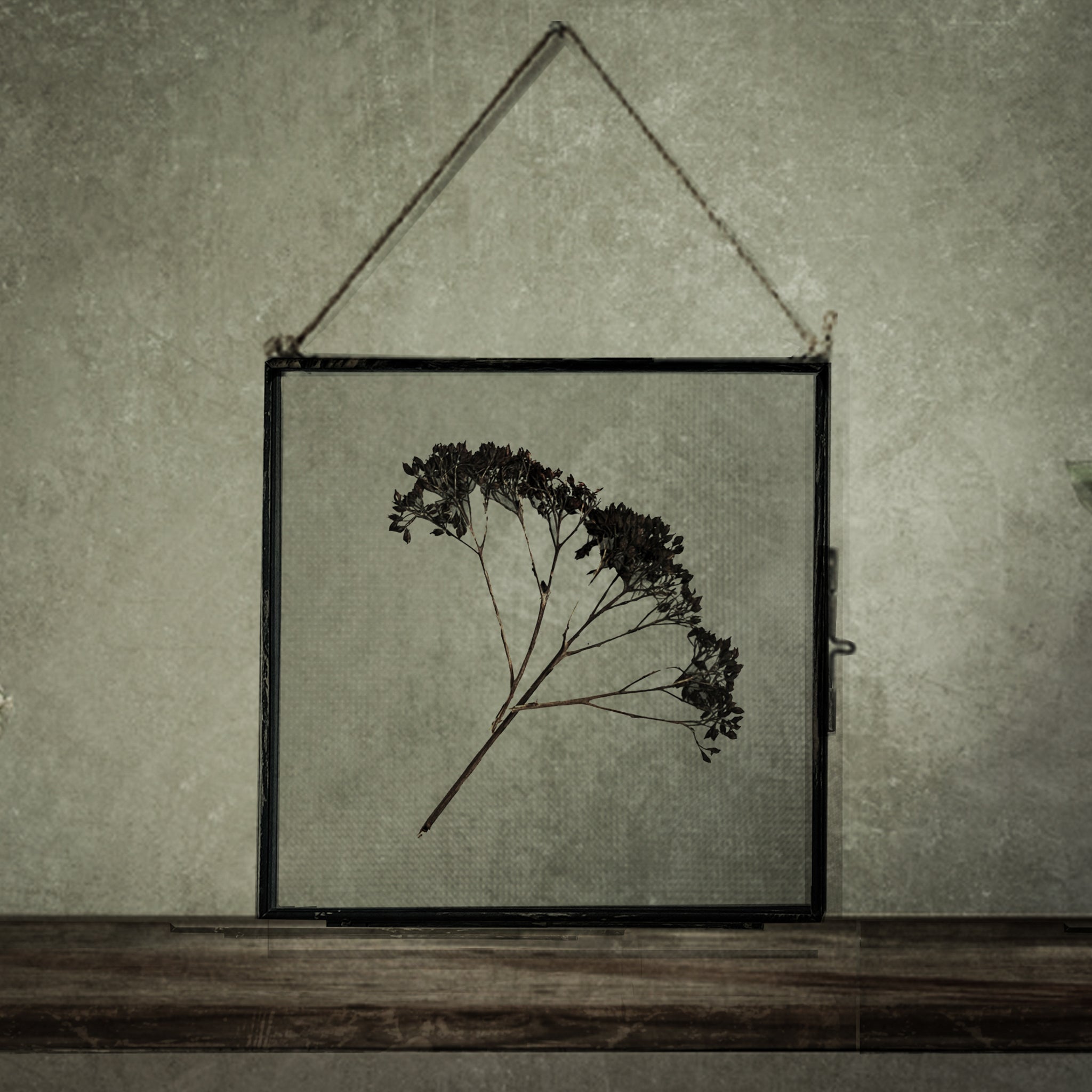 Antique Pressed Flower Frame: Dried Buddleia - Large