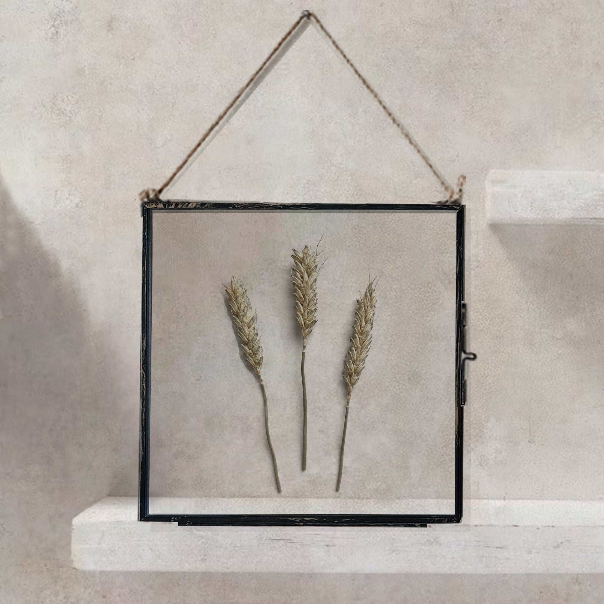 Set Of Three Pressed Flower Frames - Natural Wheat & Hill Flower