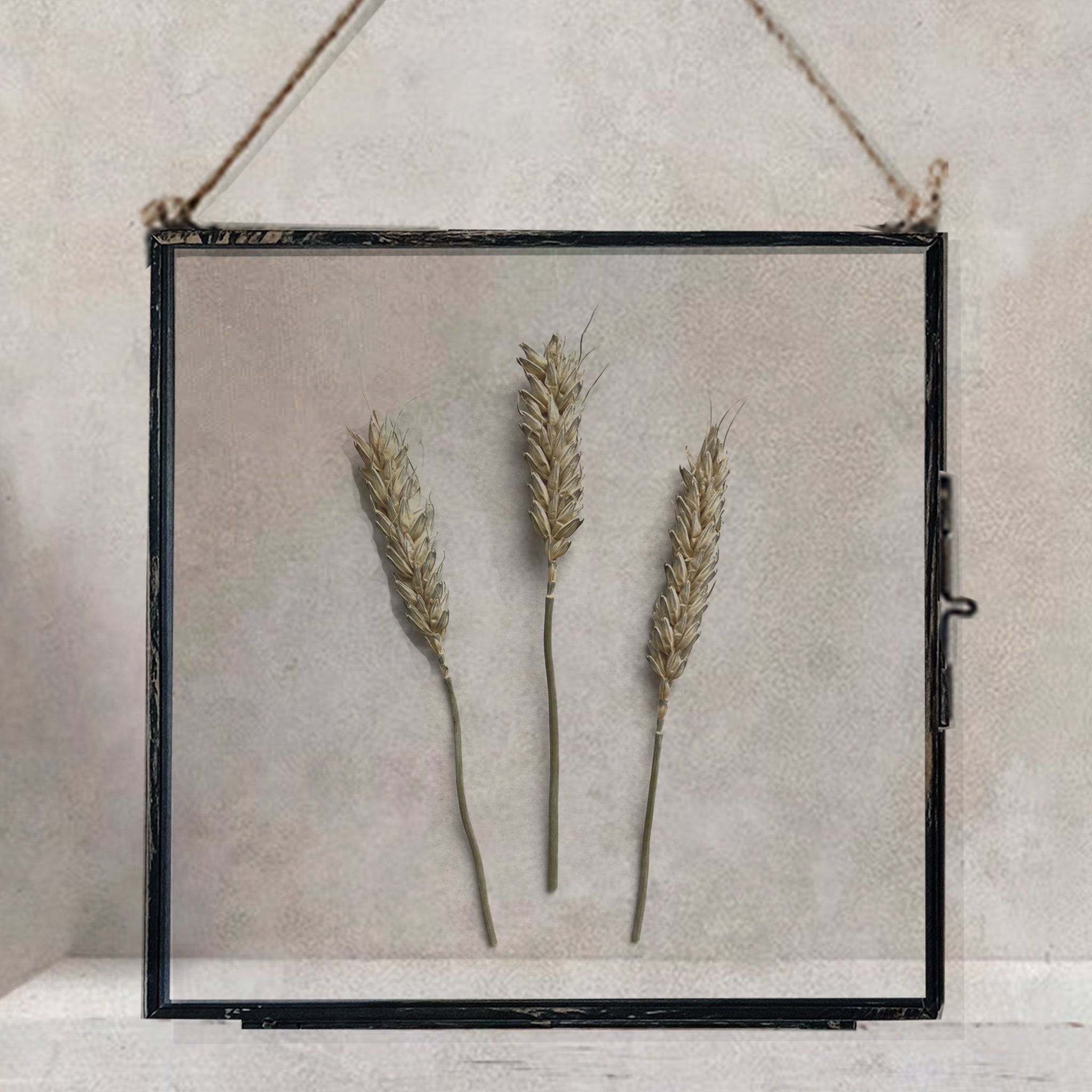 Black Antique Pressed Flower Frame: Natural Wheat - Large