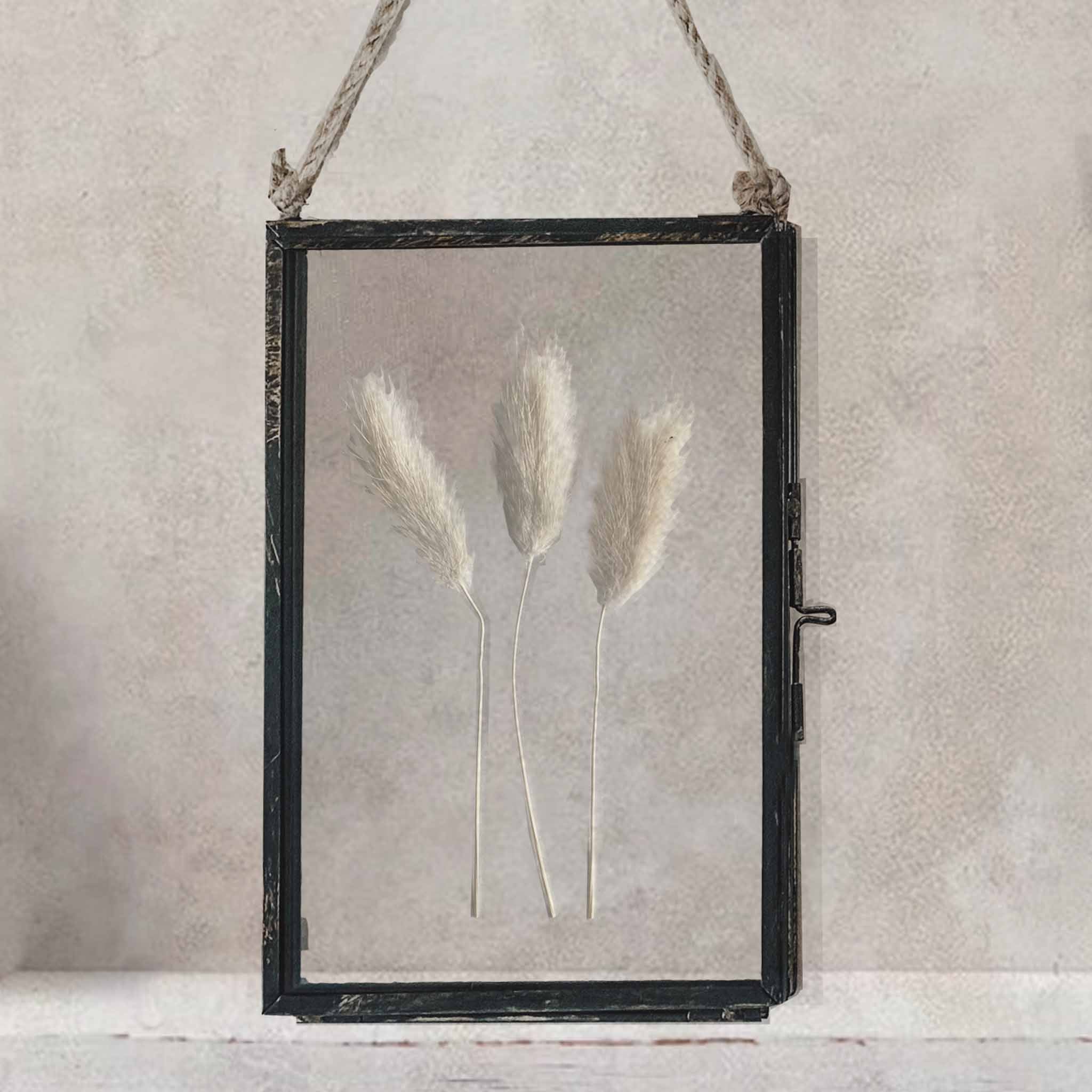 Black Antique Pressed Flower Frame: White Bunny Tails - Small